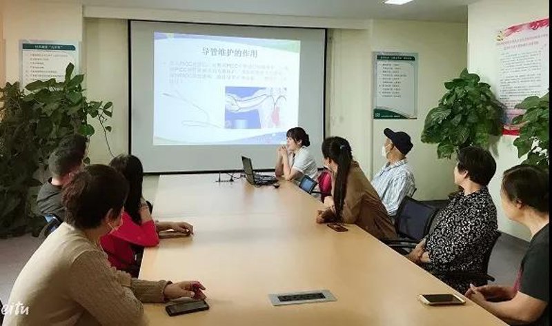 站群系统：构建网络生态新路径